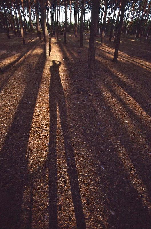 WT 3700 378-09 Germany-2.jpg